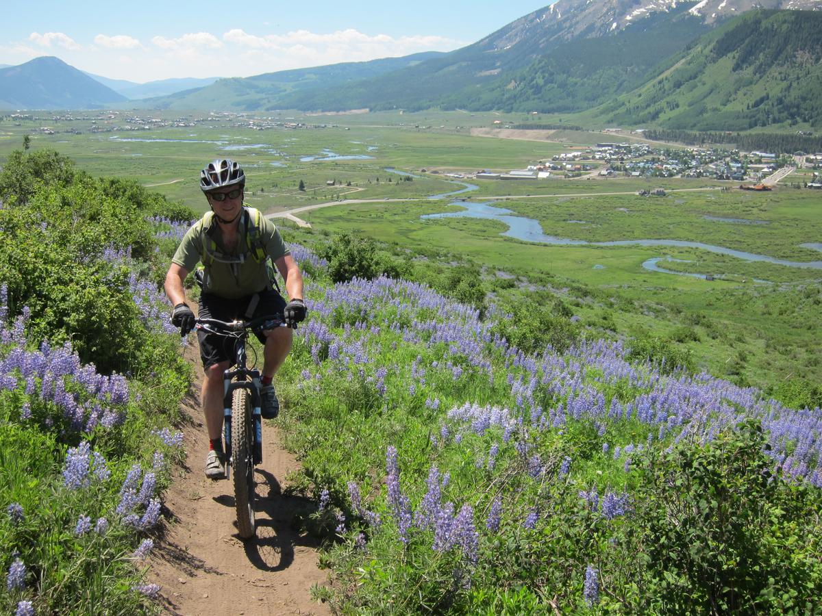 Purple Mountain Bed & Breakfast & Spa Crested Butte Bagian luar foto