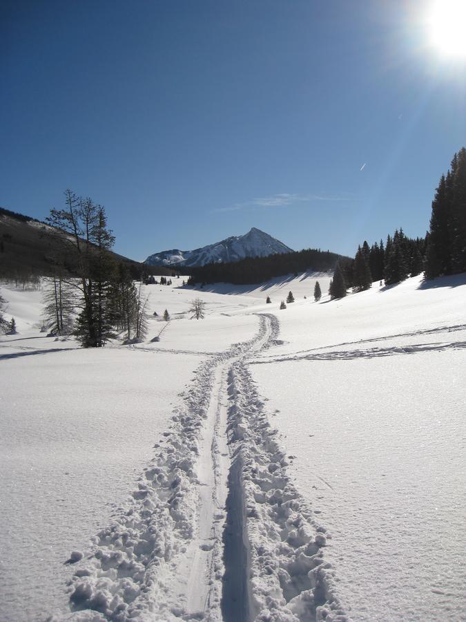 Purple Mountain Bed & Breakfast & Spa Crested Butte Bagian luar foto